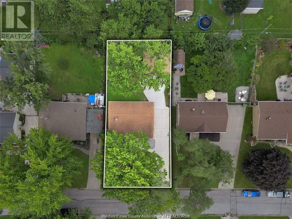 3532 VIRGINIA PARK Image 3