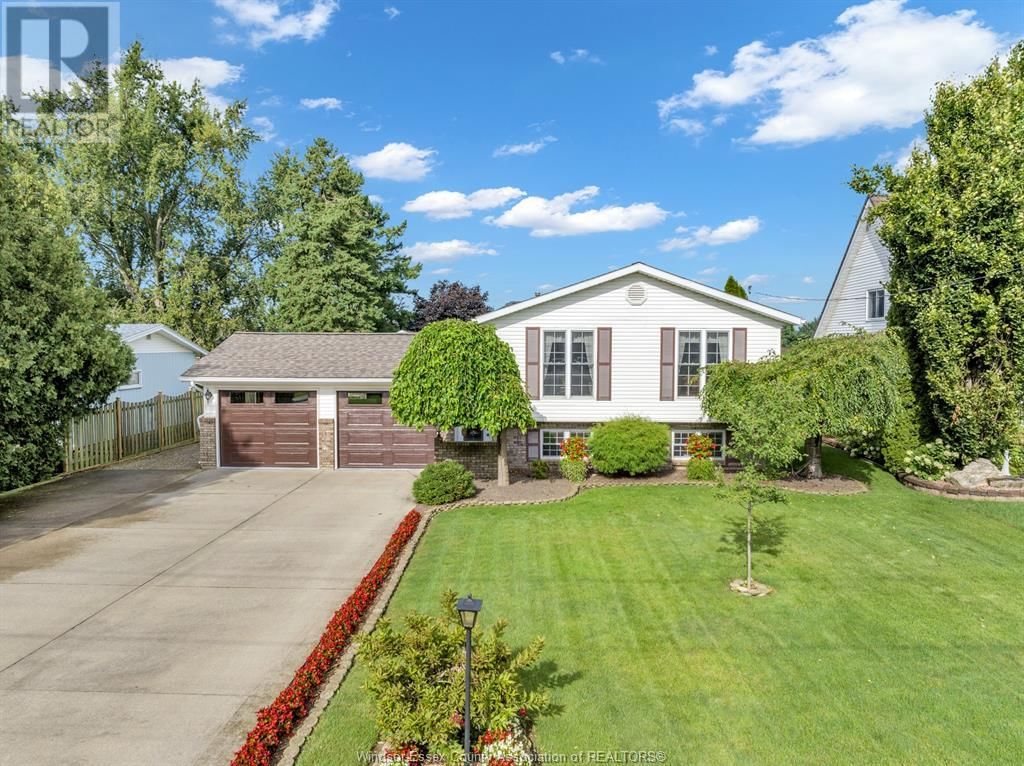 Primary Property View