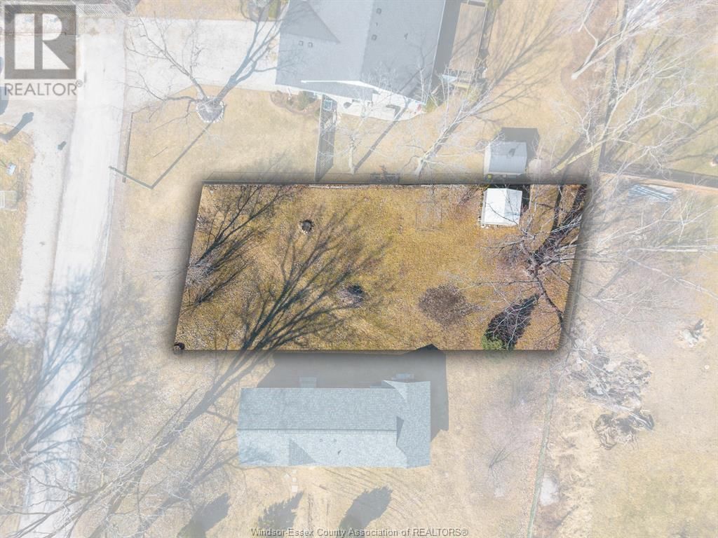 V/L STADDON Image 1