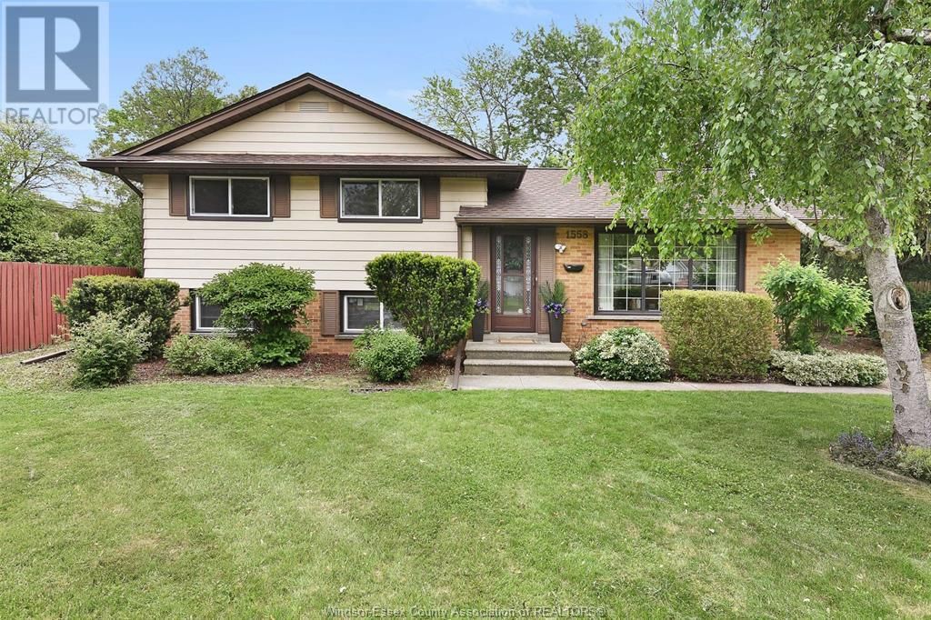 Primary Property View