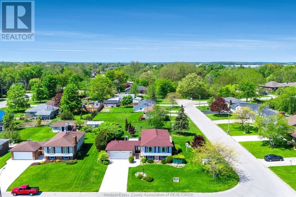Primary Property View