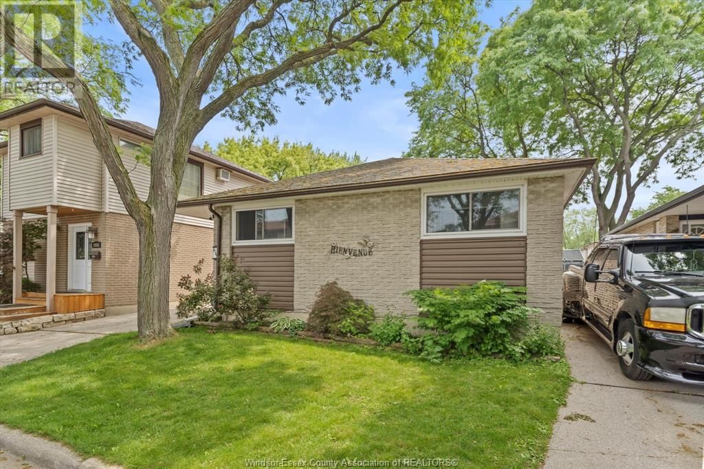 Primary Property View