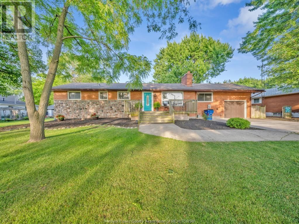 Primary Property View
