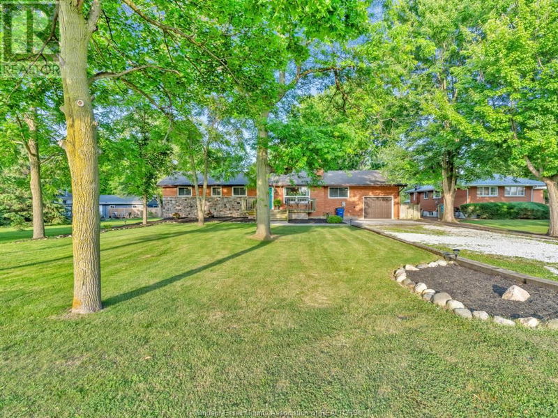 Tertiary Property View