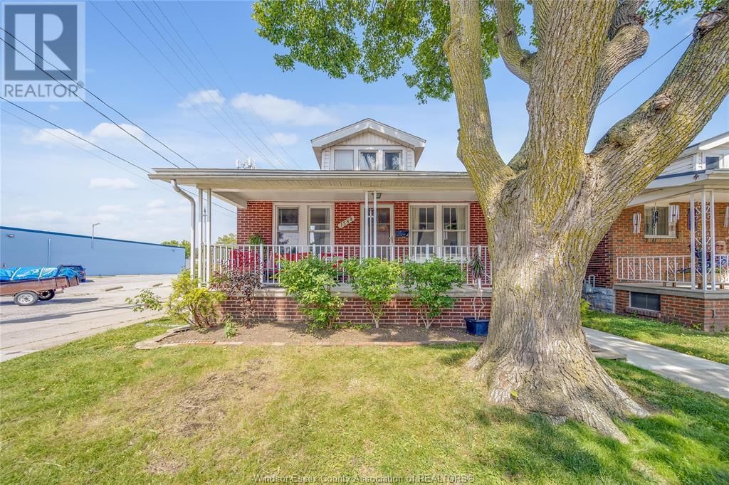 Primary Property View