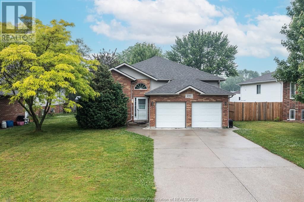 Primary Property View