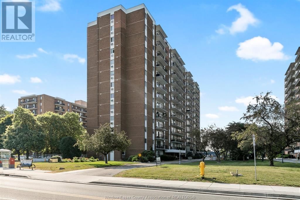 Primary Property View