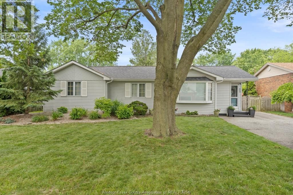 Primary Property View