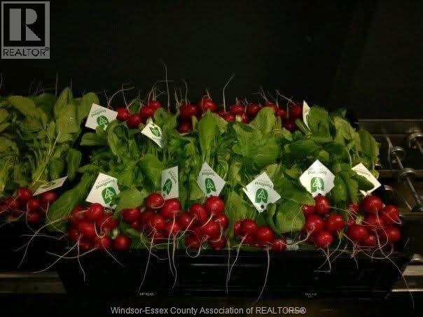 725 MERSEA RD 6 EAST Image 39