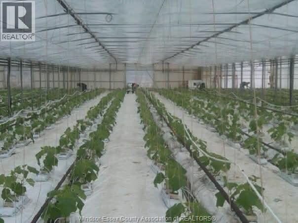 725 MERSEA RD 6 EAST Image 44