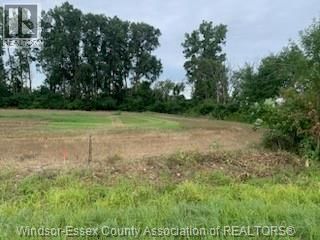 V/L MIDDLE SIDEROAD Image 3