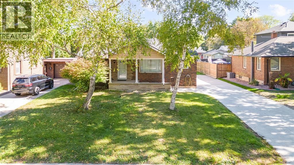 LOWER - 3162 CURRY AVENUE Image 2