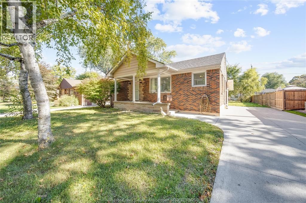 LOWER - 3162 CURRY AVENUE Image 3