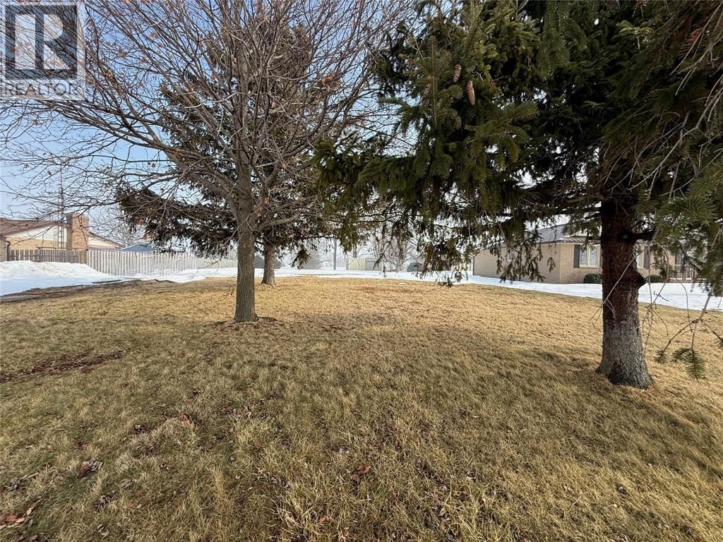 3126 QUEEN STREET Image 1