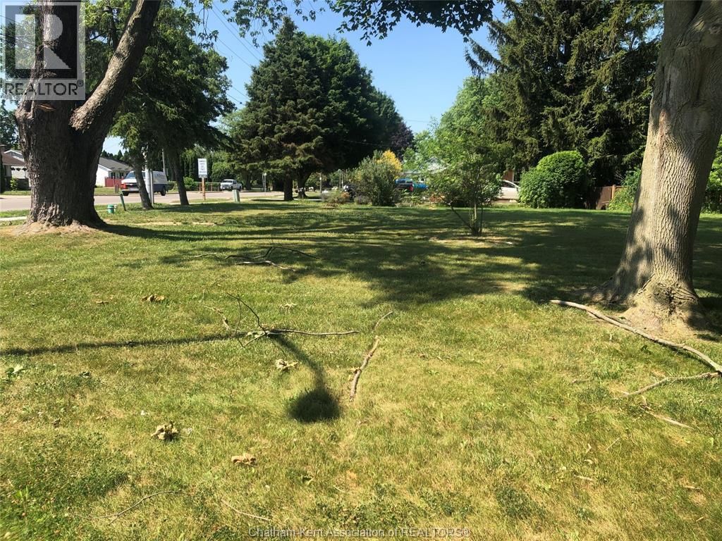 24 ST MICHAEL AVENUE Image 2