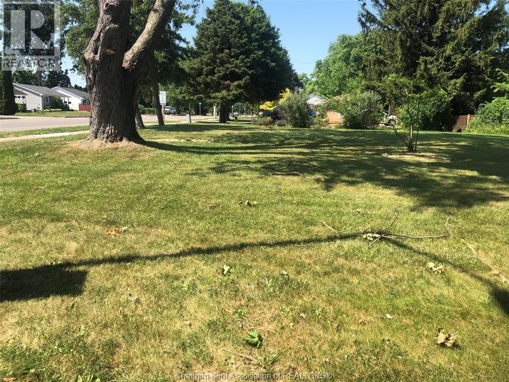 24 ST MICHAEL AVENUE Image 3