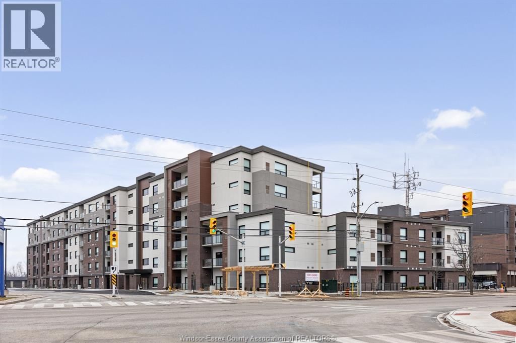 310 - 11870 TECUMSEH ROAD EAST Image 3