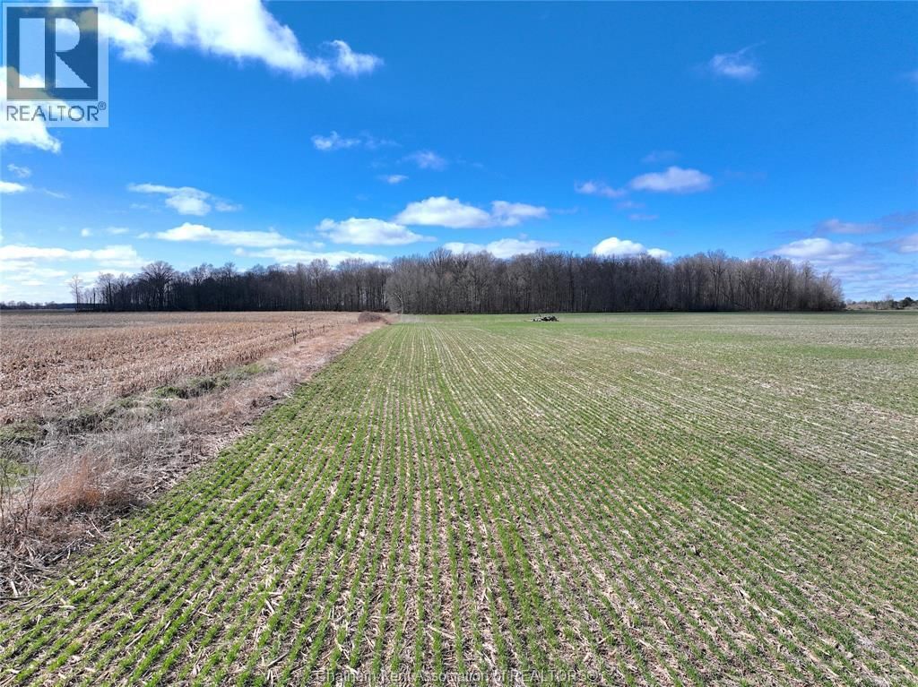 23899 DUNDONALD ROAD Image 9