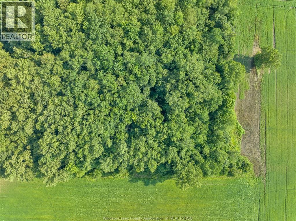 V/L GILROY ST (WEST) Image 24