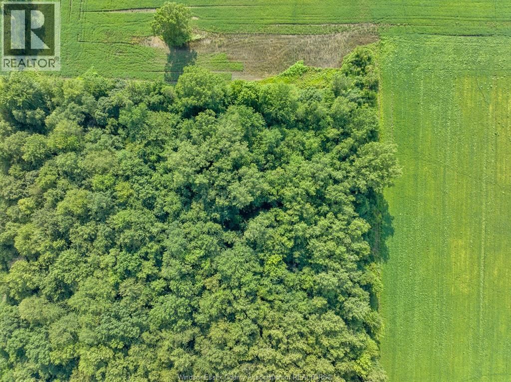 V/L GILROY ST (WEST) Image 25