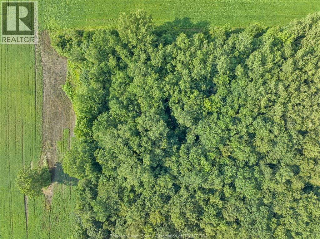 V/L GILROY ST (WEST) Image 26