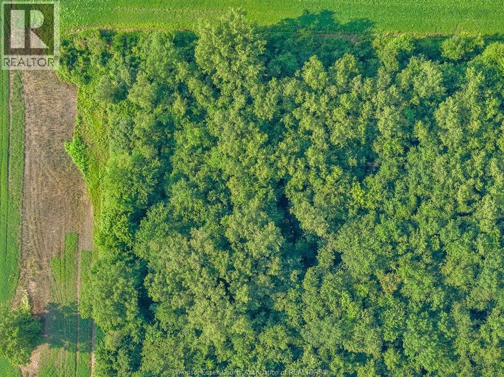 V/L GILROY ST (WEST) Image 27