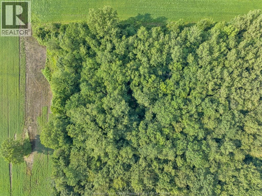 V/L GILROY ST (WEST) Image 28