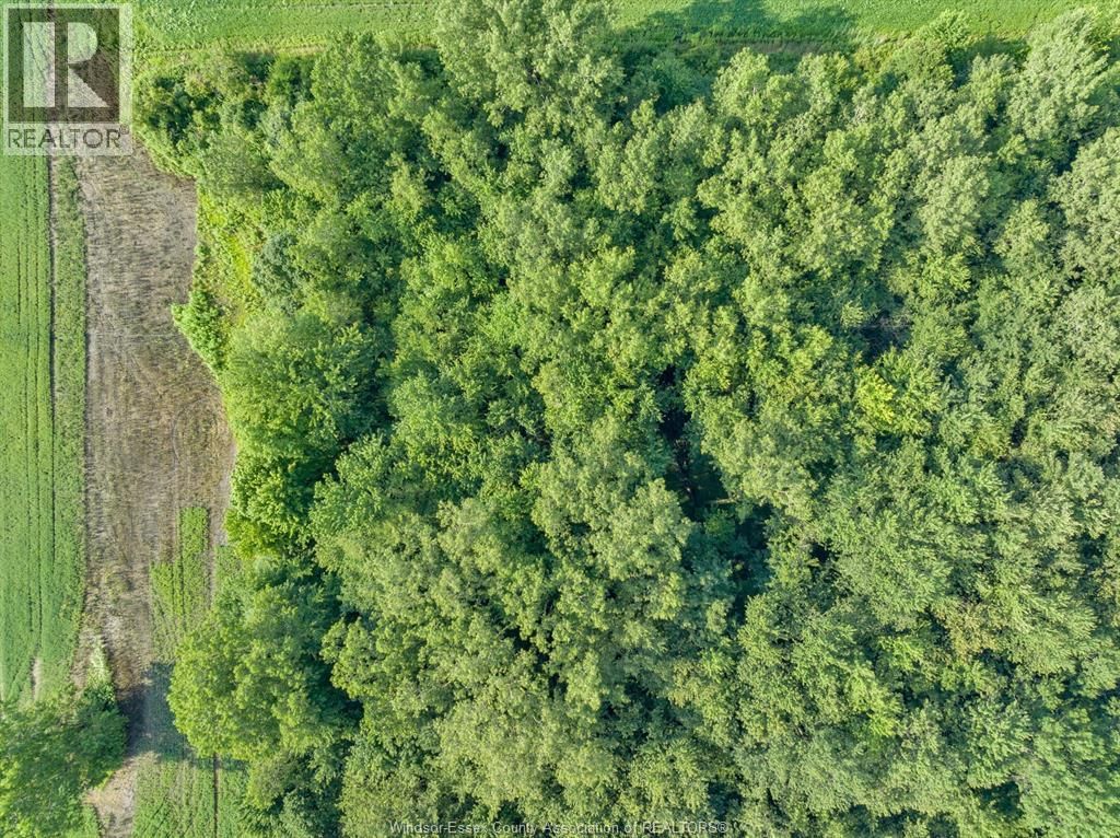 V/L GILROY ST (WEST) Image 29