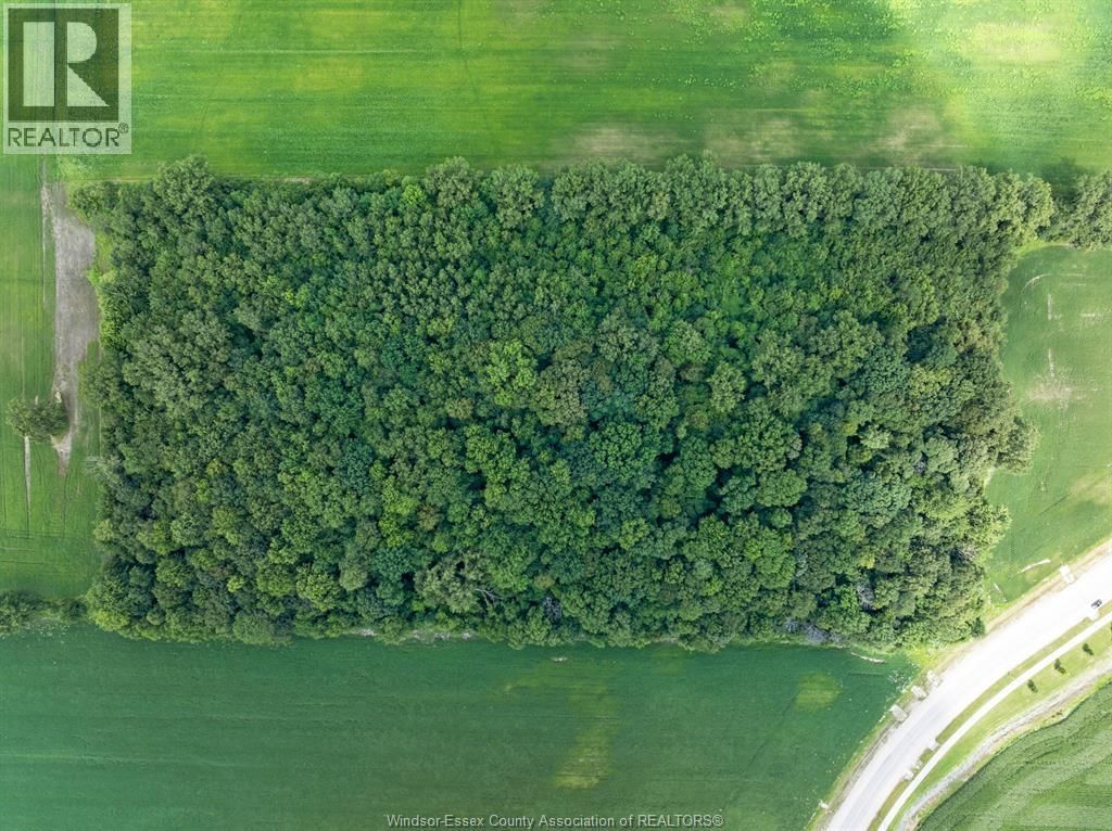 V/L GILROY ST (EAST) Image 21