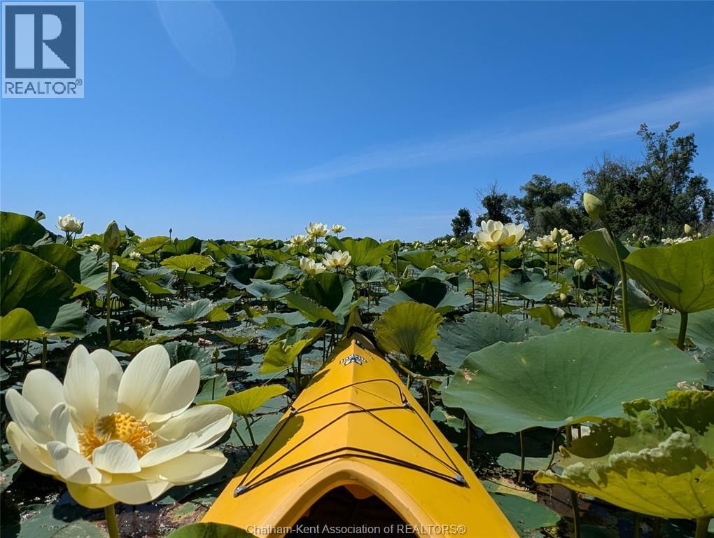 11527 LAGONDA WAY Image 41