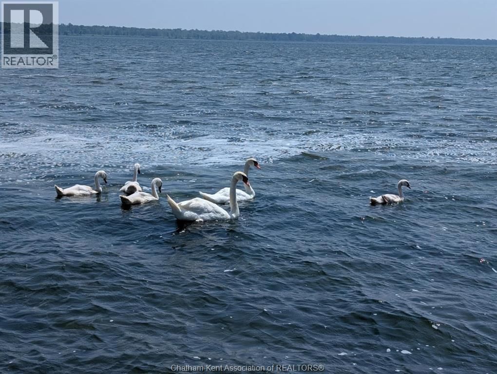 11527 LAGONDA WAY Image 43