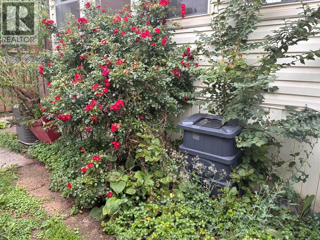 1232 JANETTE Image 28