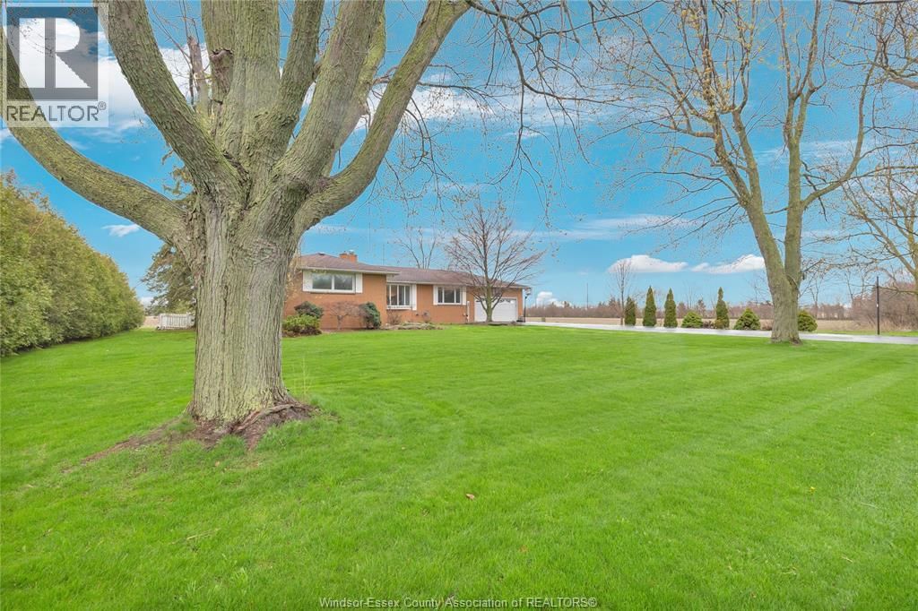 54 MERSEA ROAD 12 Image 5