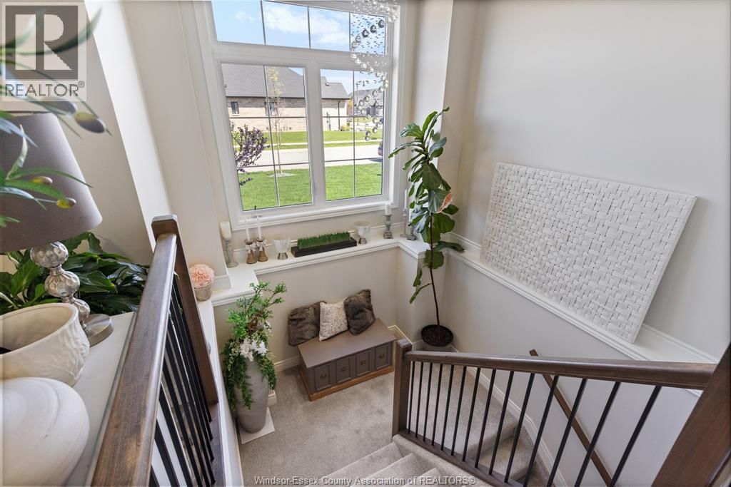 237 LIVINGSTONE Image 16