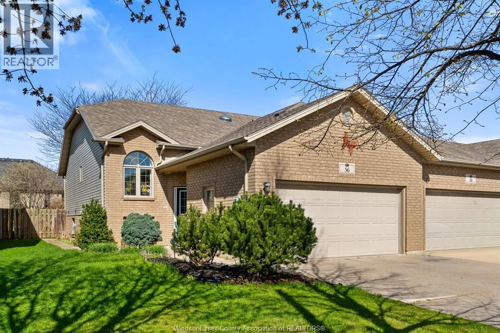 56 ANFRED STREET Image 3