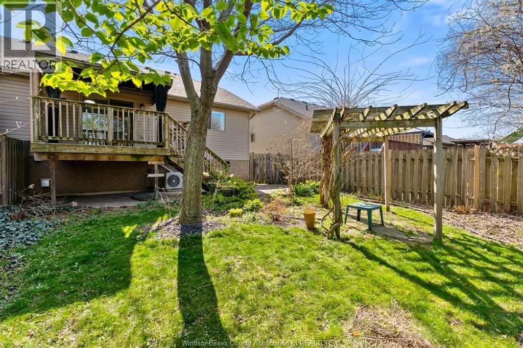 56 ANFRED STREET Image 44