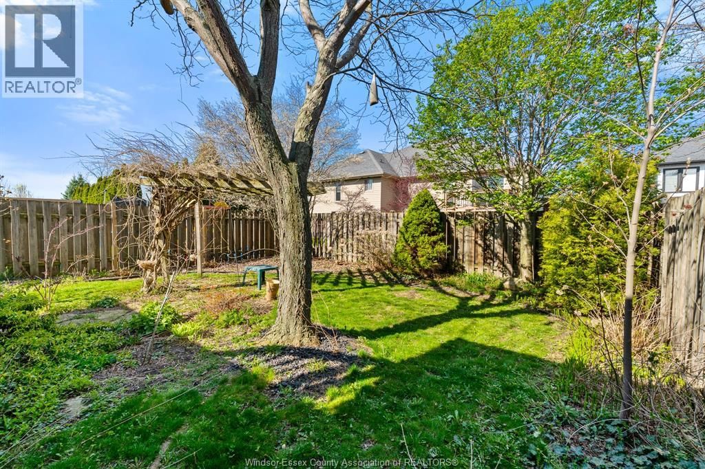 56 ANFRED STREET Image 45