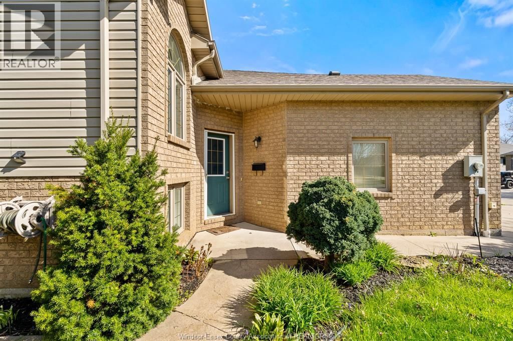 56 ANFRED STREET Image 5