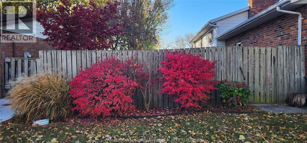 10035 ASPEN LANE Image 4