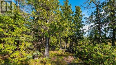 Image #1 of Commercial for Sale at Pt Lt 30 Con 7 Old Pine Tree Road, Northern Bruce Peninsula, Ontario