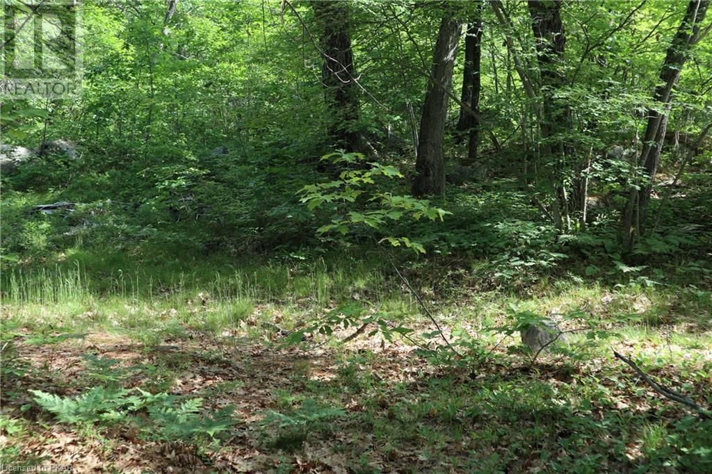 293 FIRE ROUTE 73 Image 35