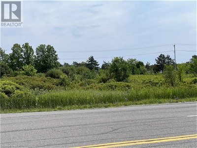 Image #1 of Commercial for Sale at N/a Netherby Road, Stevensville, Ontario