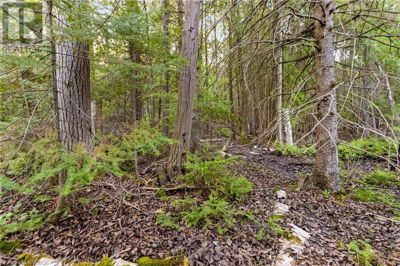 Image #1 of Commercial for Sale at Pt Farm Lt 4 Chi Sin Tib Dek Road, Northern Bruce Peninsula, Ontario