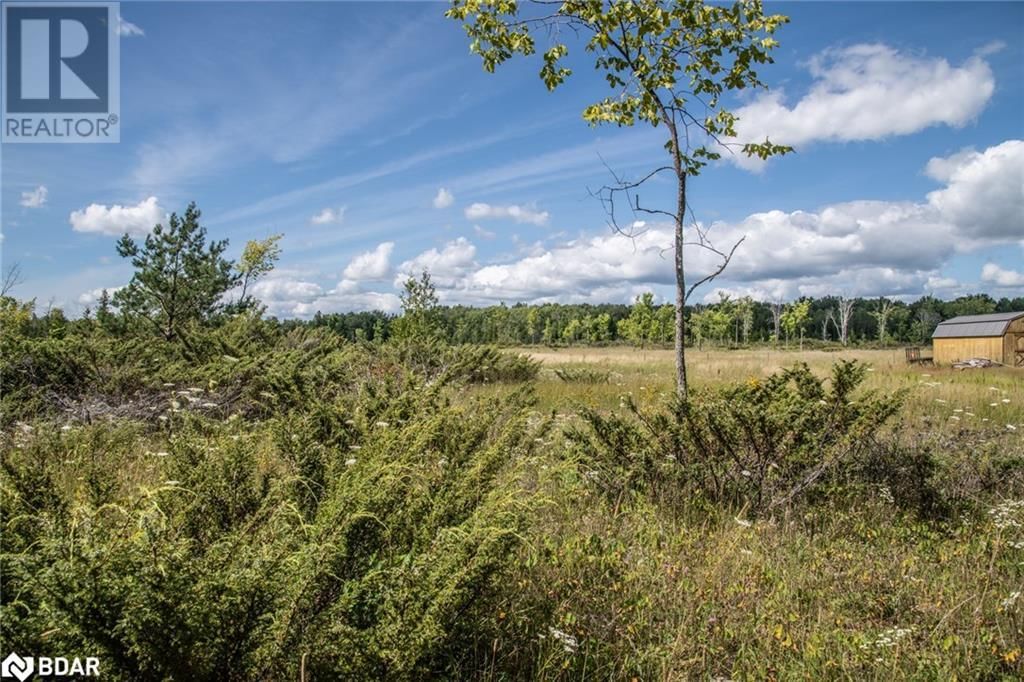 Primary Property View