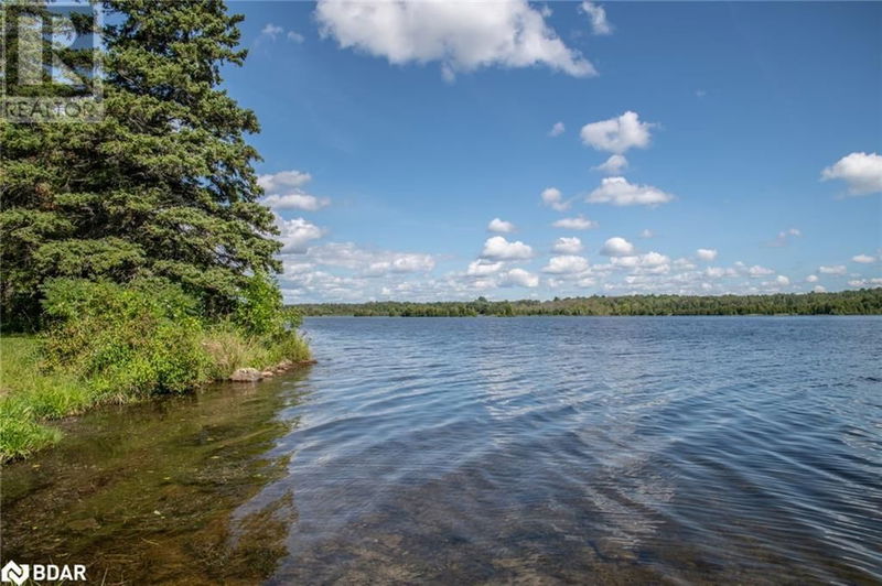 250 MCGUIRE BEACH Road  Kawartha Lakes, K0M2B0 | Image 21