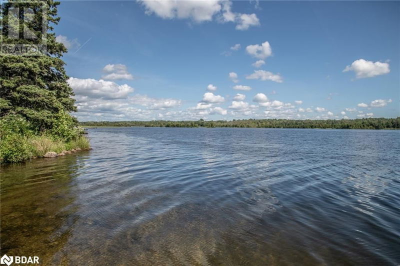 250 MCGUIRE BEACH Road  Kawartha Lakes, K0M2B0 | Image 29