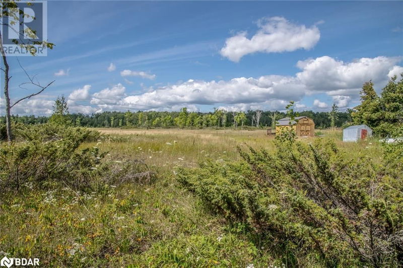 250 MCGUIRE BEACH Road  Kawartha Lakes, K0M2B0 | Image 3