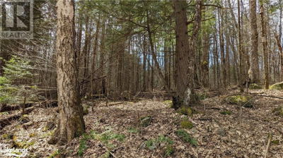 Image #1 of Commercial for Sale at 0 Concession 6, Huntsville, Ontario