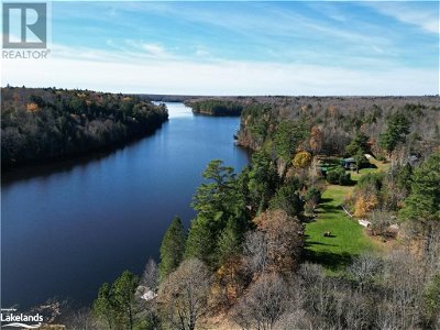 Image #1 of Commercial for Sale at 0 Pine Lake, Loring, Ontario