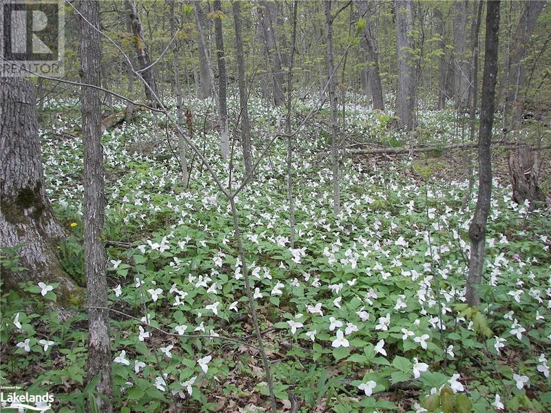 2 ISLAND 880/COW Island  Honey Harbour, P0E1E0 | Image 39